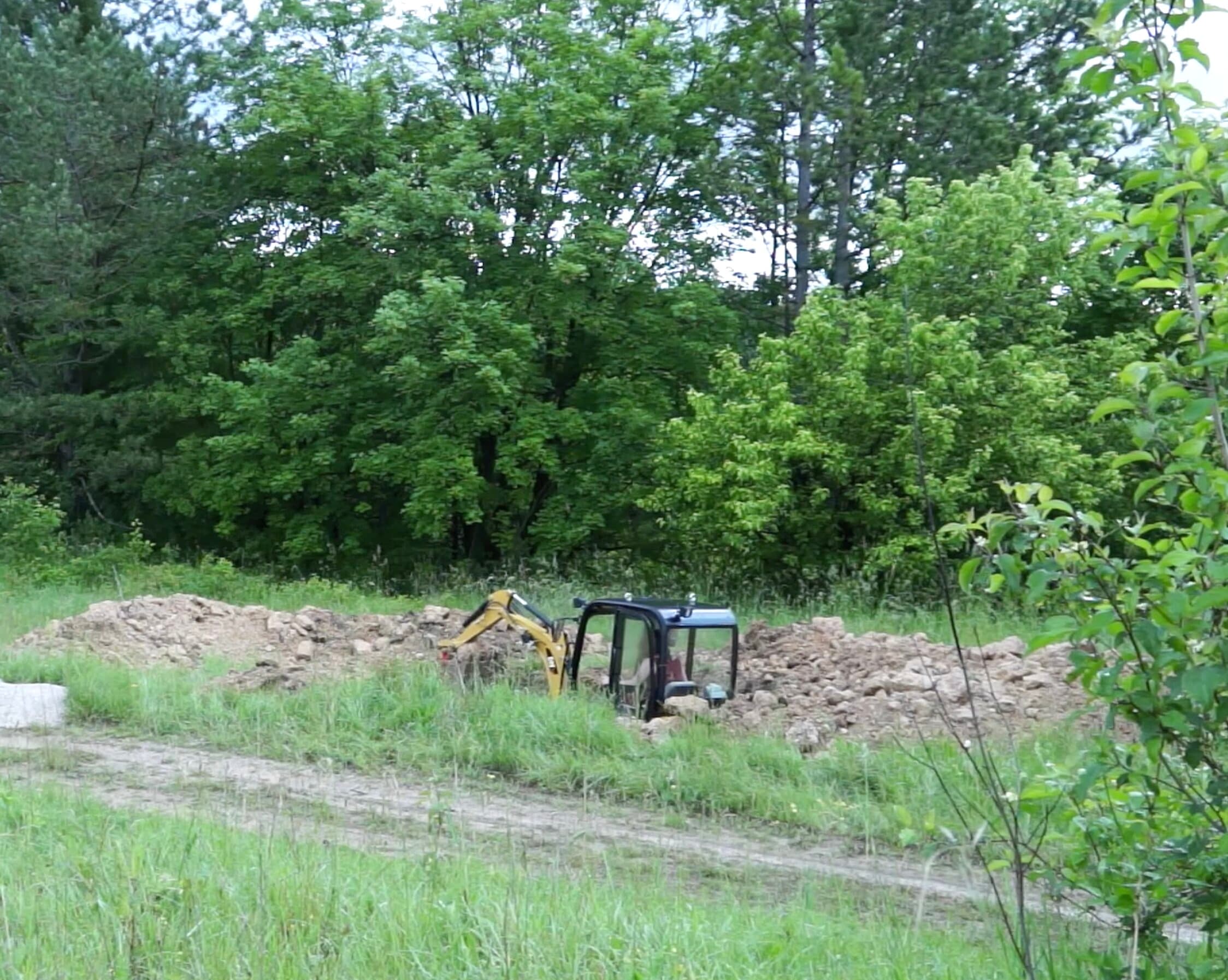 cat 302.4d - Image 3