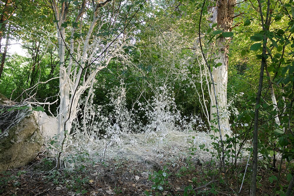 white rooms - Image 1