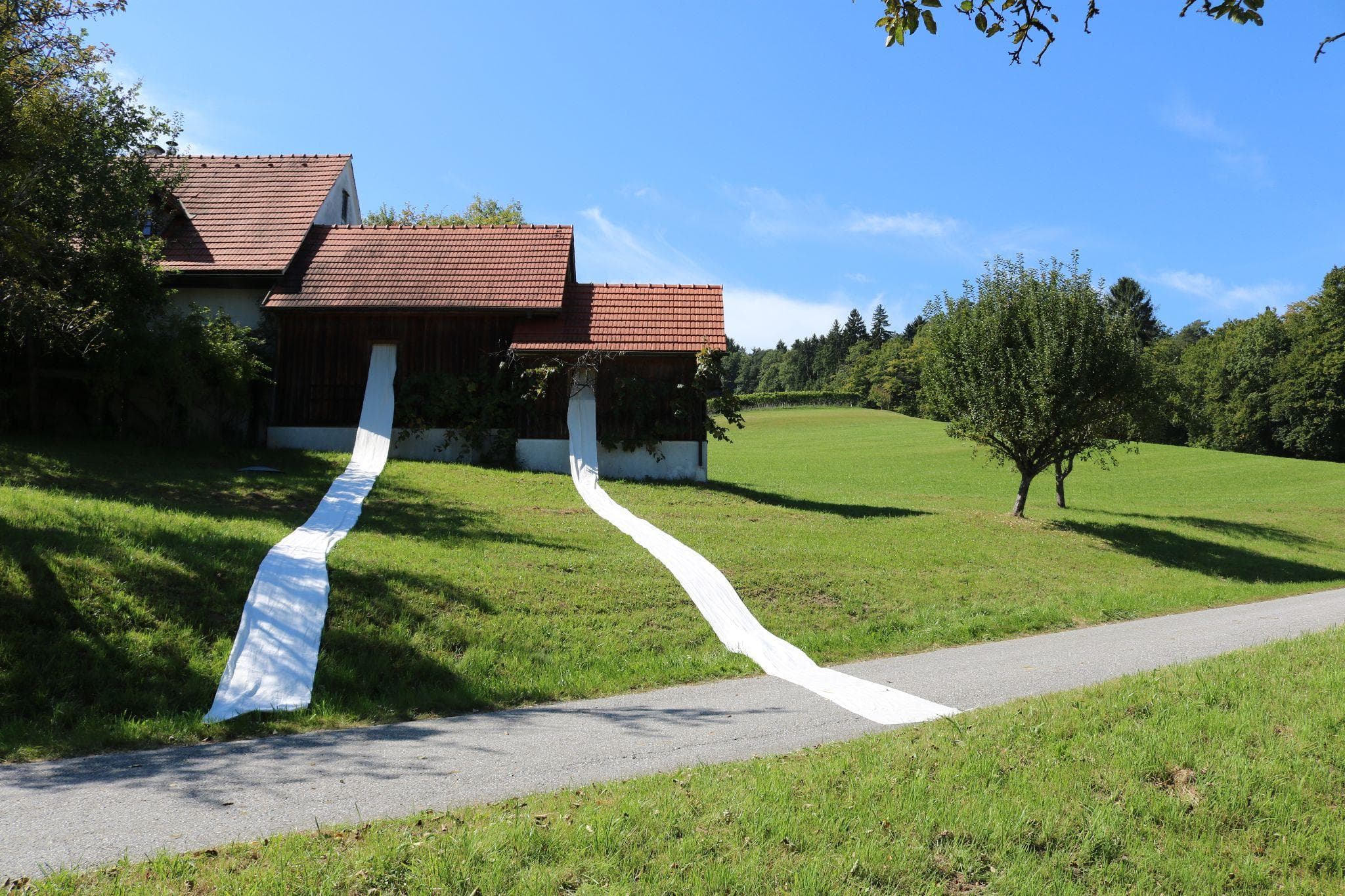 white cloths - Image 1