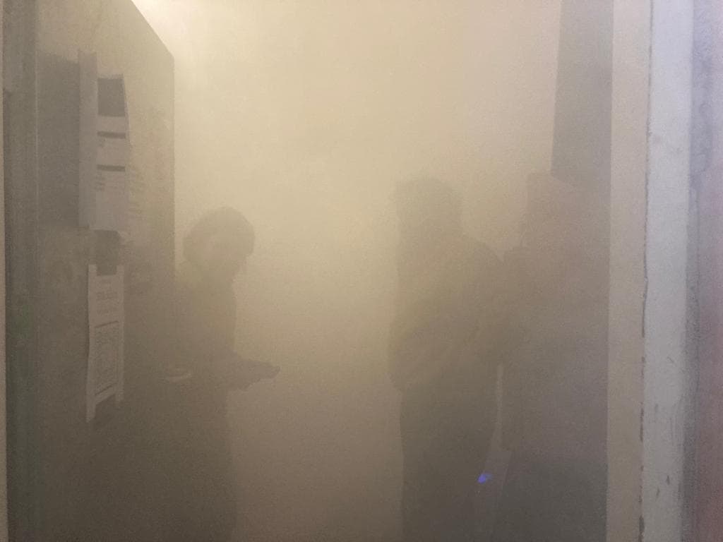 all is vanity - Image 1